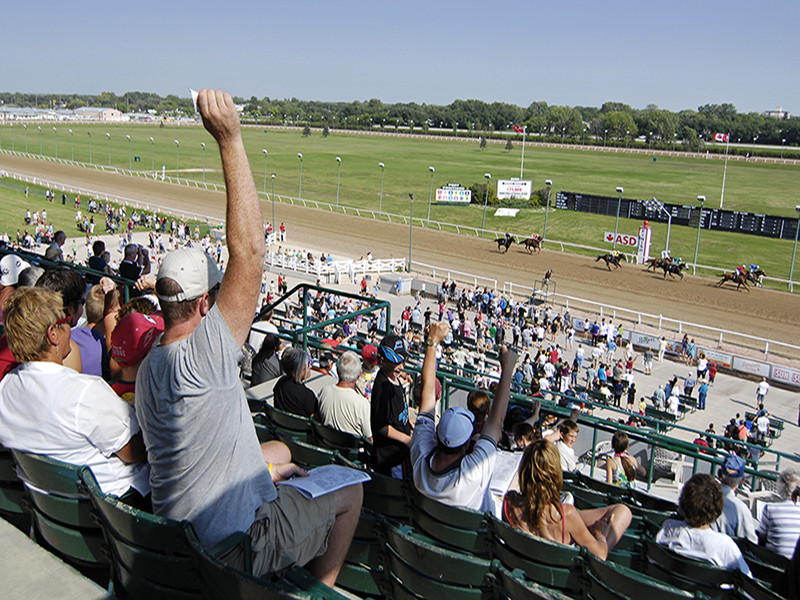 Assiniboia Downs y 1/ST CONTENT anuncian acuerdo de distribución internacional a largo plazo